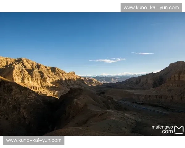 绝响2002:那一年的紫金王朝与萨克拉门托的“诸神黄昏” 绝响2002:那一年的紫金王朝与萨克拉门托的“诸神黄昏”